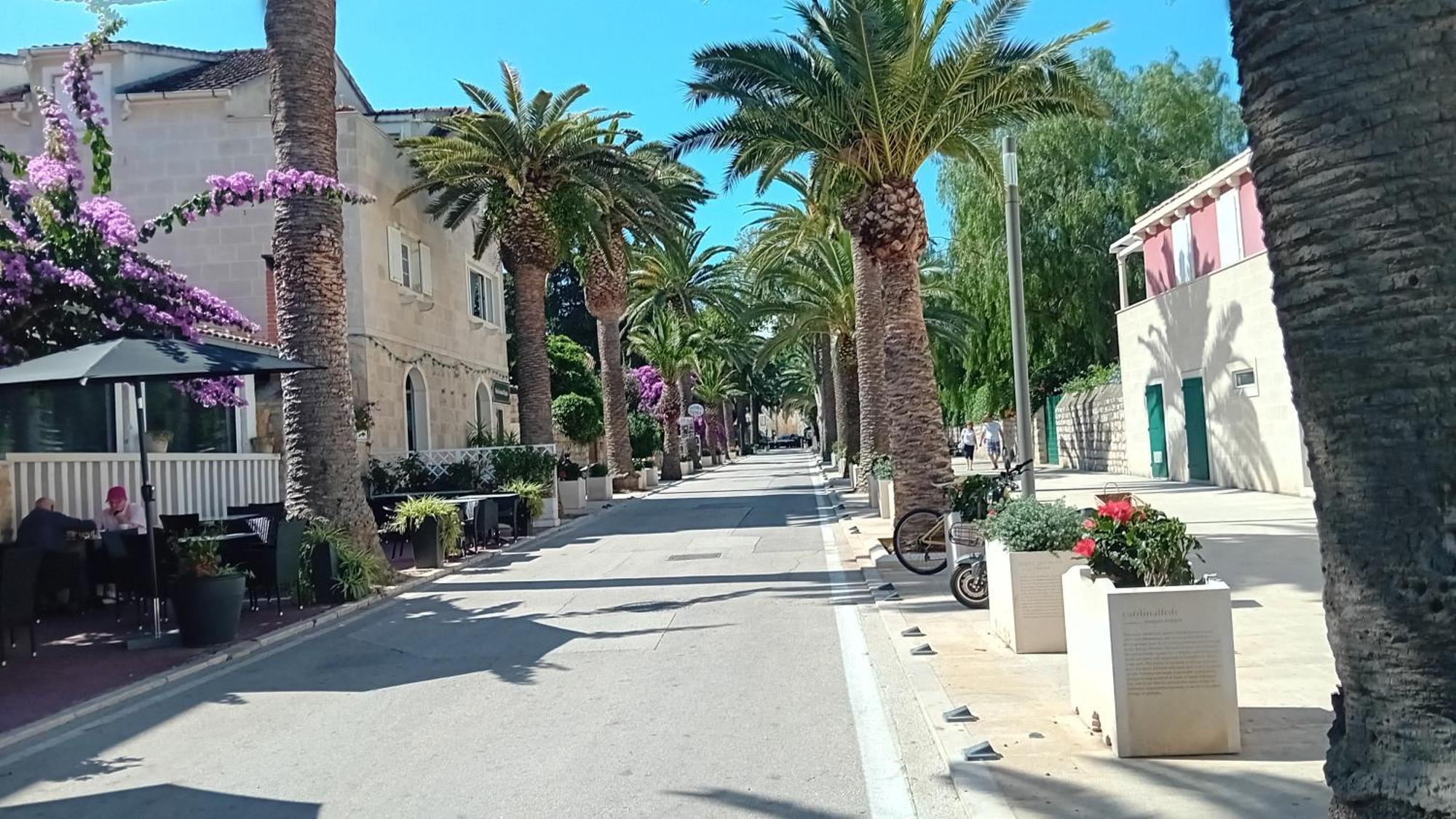Apartman Afrodita